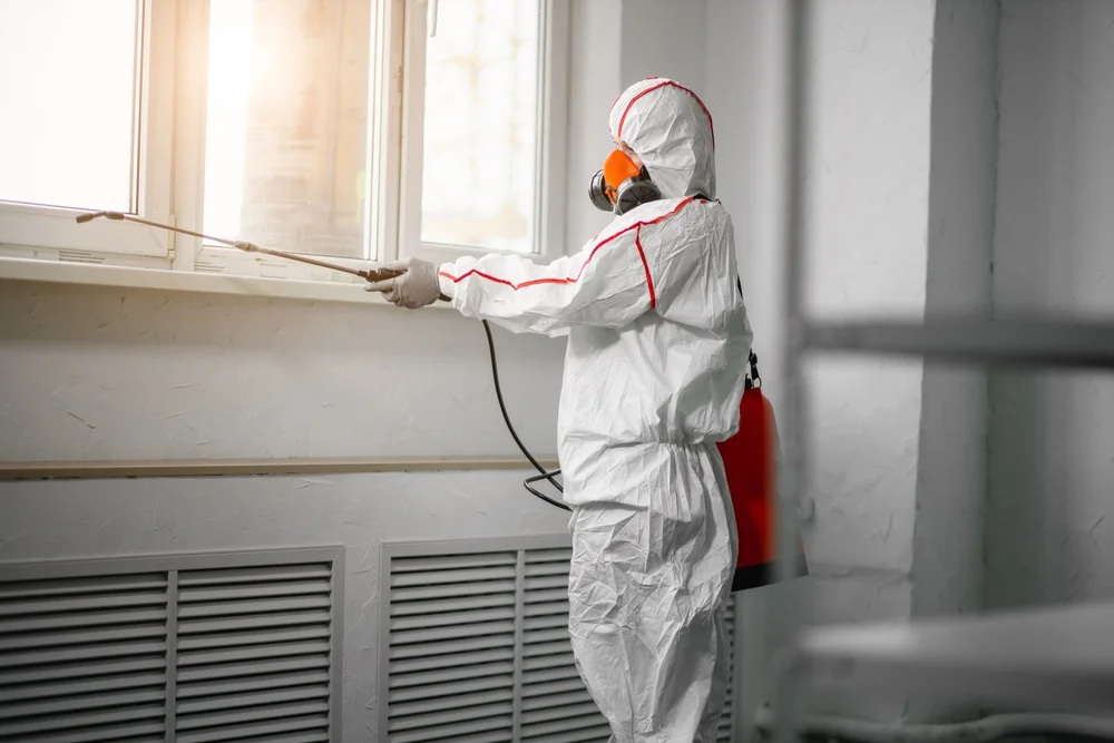 Professional mold remediation services in Worthington, IN